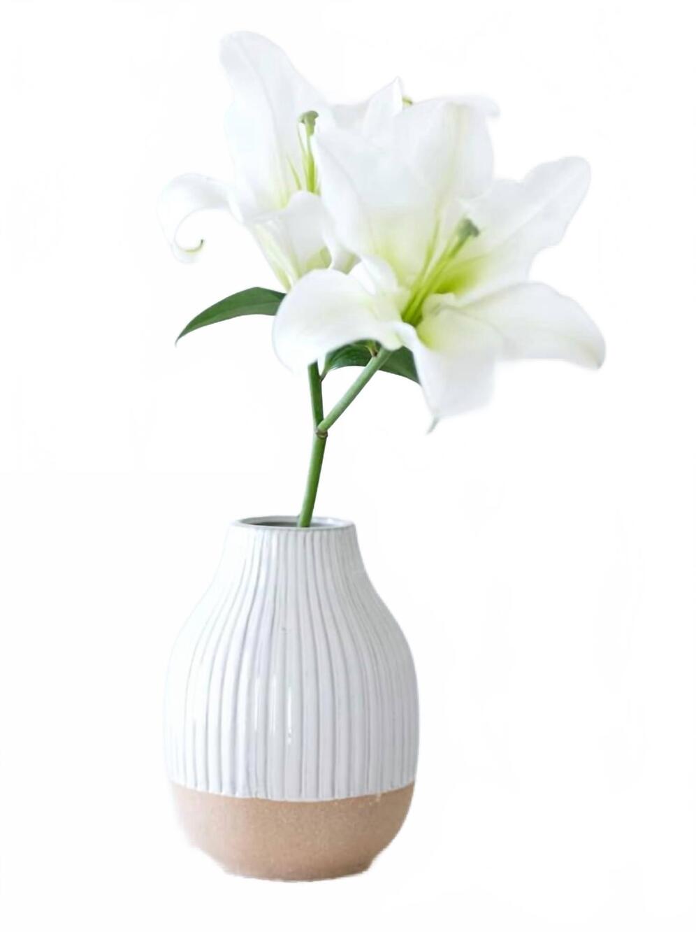 NEW SHIRALEAH decorative loma vase with terrecotta base in beige